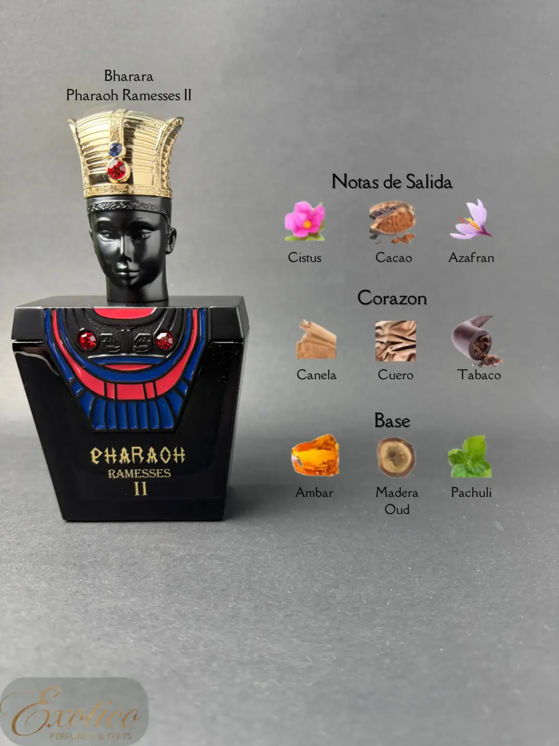 Bharara Pharaoh Ramesses II