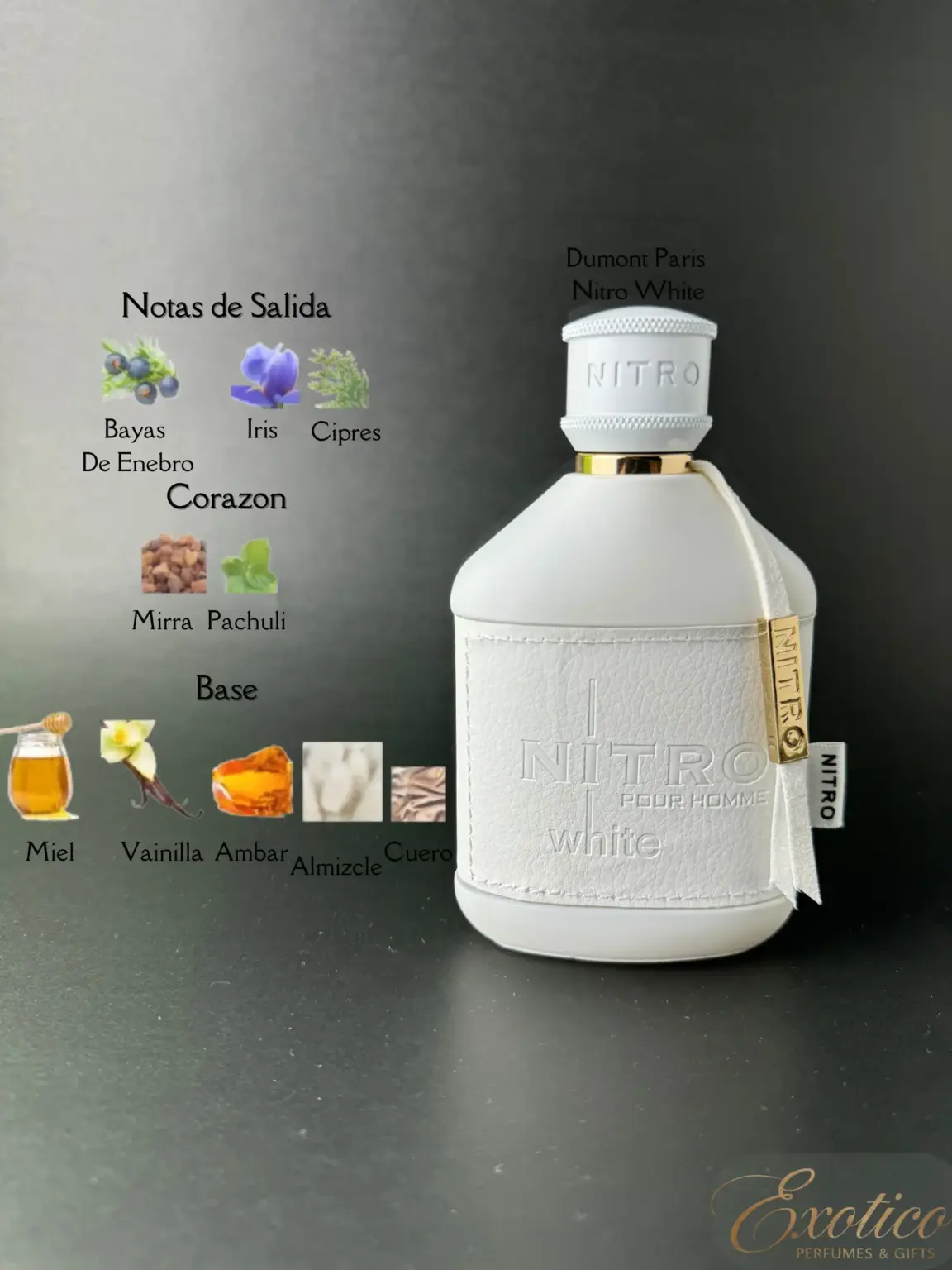 Dumont Paris Nitro White