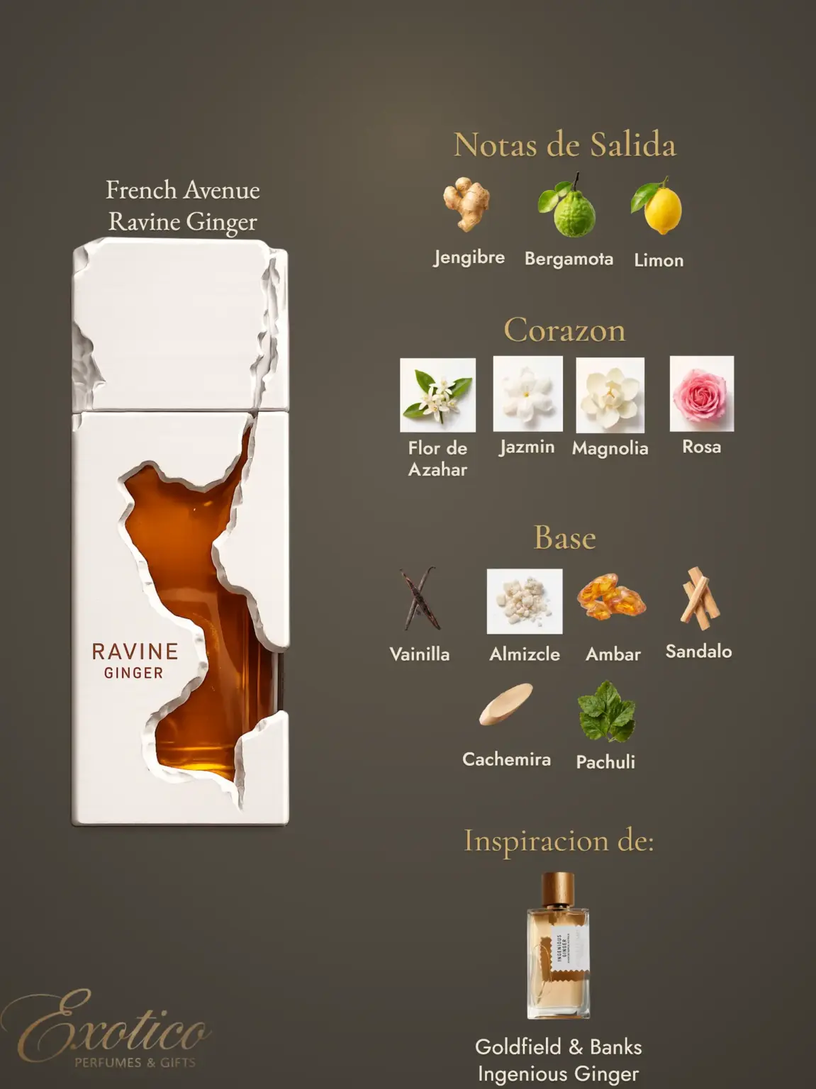 French Avenue Ravine Ginger