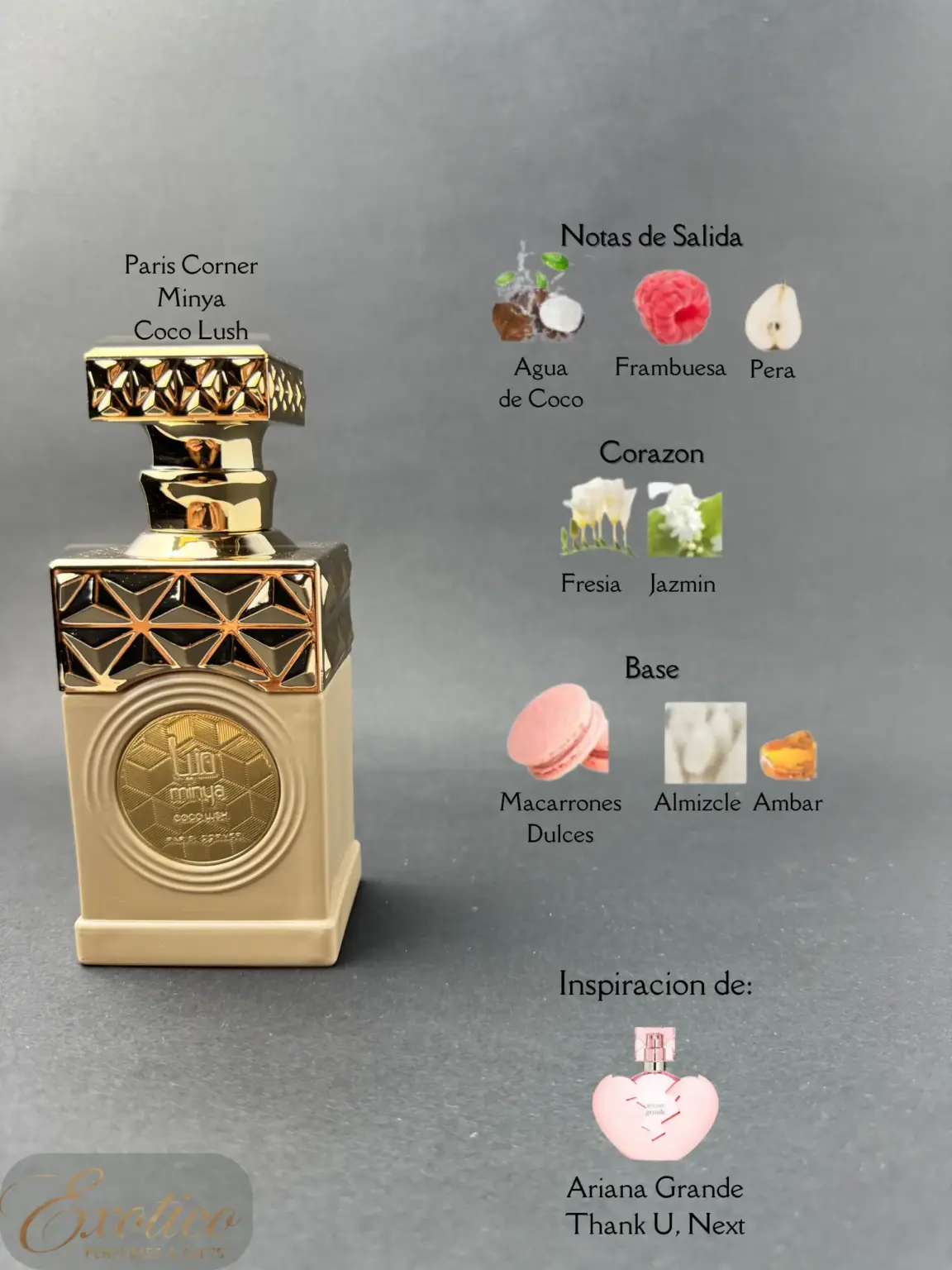 Paris Corner Minya Coco Lush